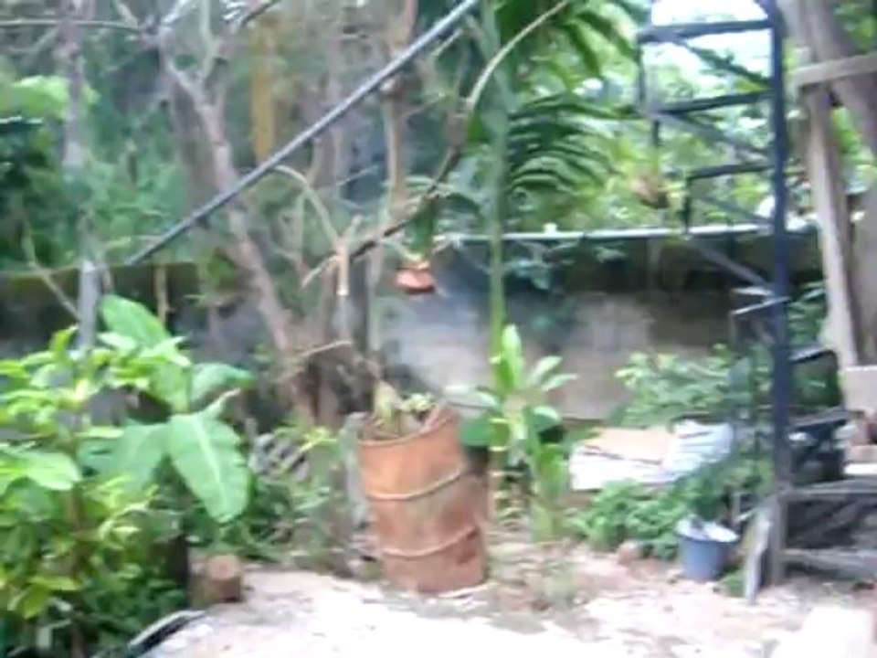 sameera home 2