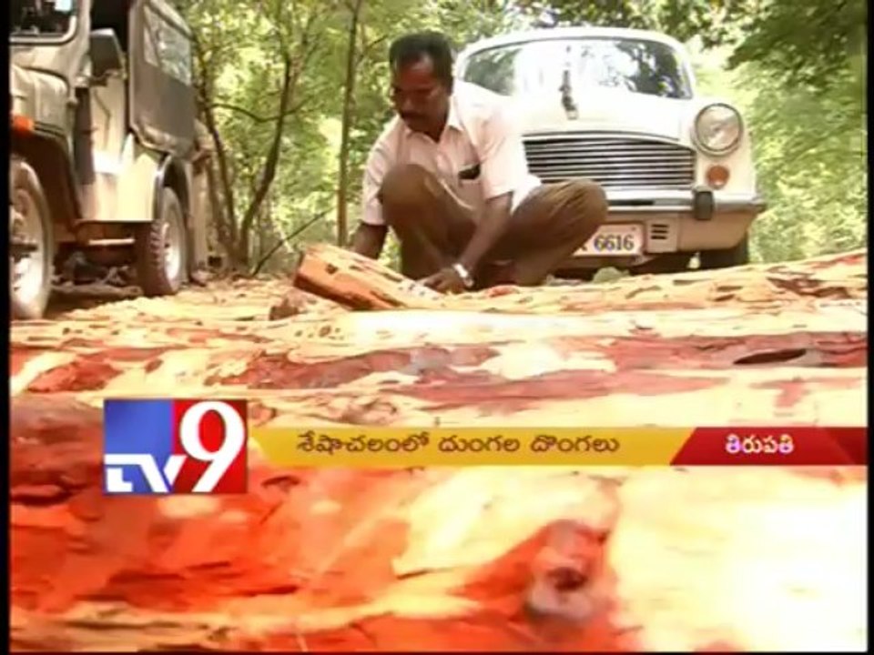 Priceless wood smuggled from Tirumala