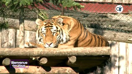 Bienvenue Chez Vous du 08 mars 2013