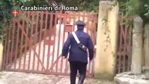 Subiaco (Roma) - Scoperto canile abusivo, denunciato il gestore (03.03.13)