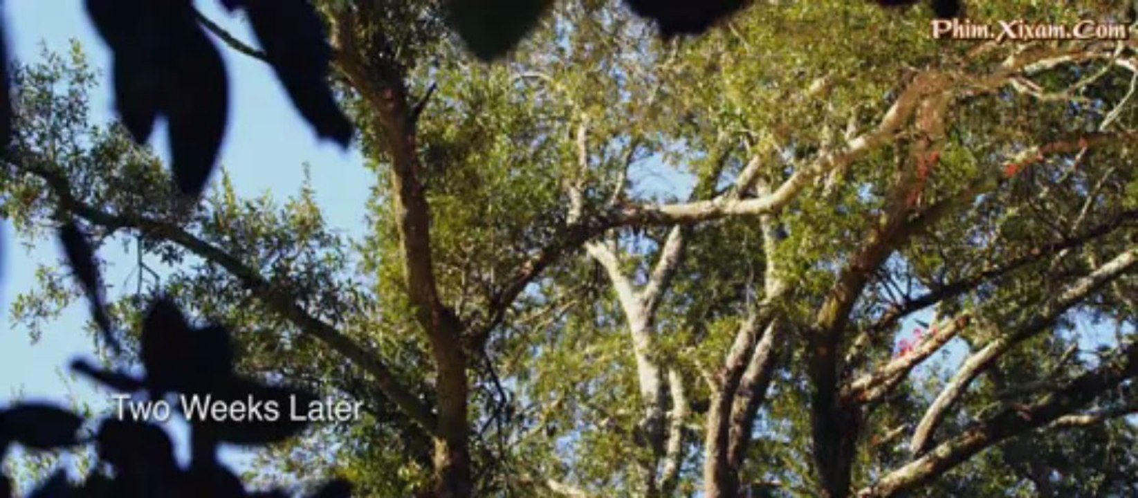 NgoiNhaBiAn2_clip5
