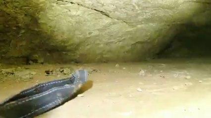 aven du Camélié 10 mars 2013 Alex (15)