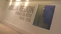 Odilon Redon : entretien avec Valérie Sueur-Hermel, commissaire de l’exposition