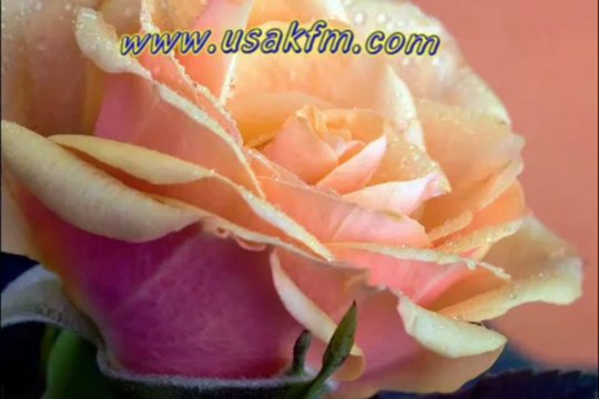 Veysel Uluağaç Benim Sevdam Bana Yeter _Usak