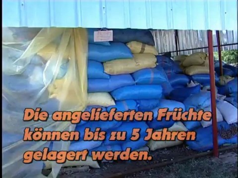 Production d'huile d'argan au sein de la coopérative toudarte akhsmou imsouane