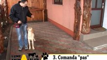 Lumea Animalelor 28.02.2013