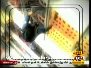 Lights Camera Action