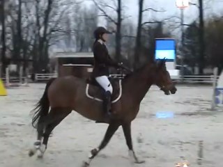 vograin de mancy, prépa 0,95 (premier parcours)
