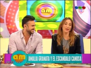 Granata sobre el caso Canosa-pronto.com.ar