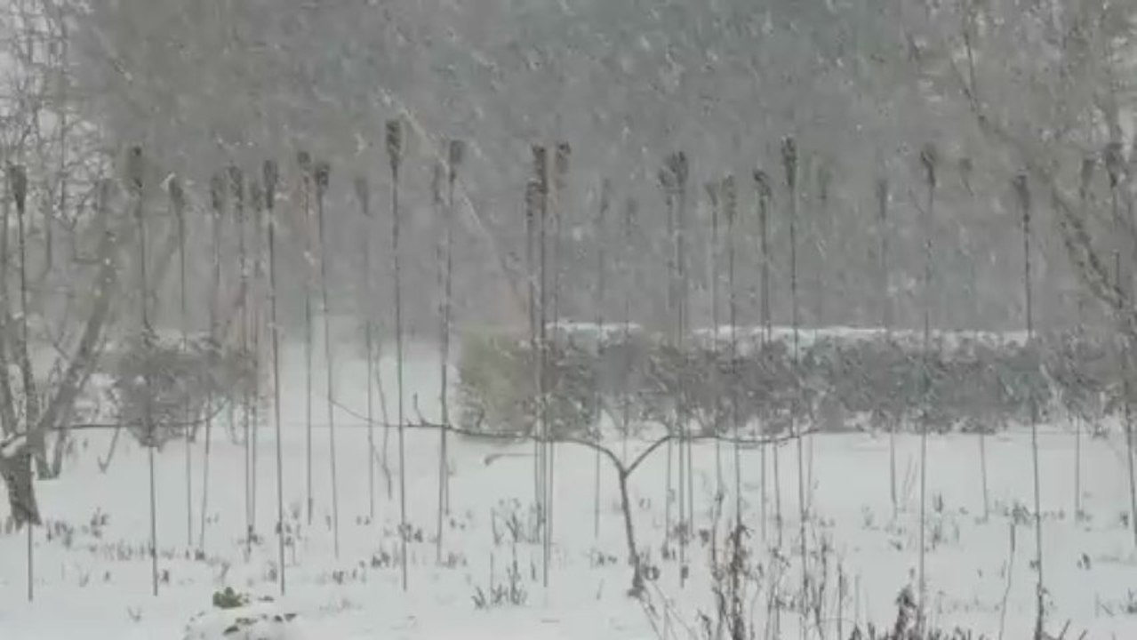 et tombe la neige
