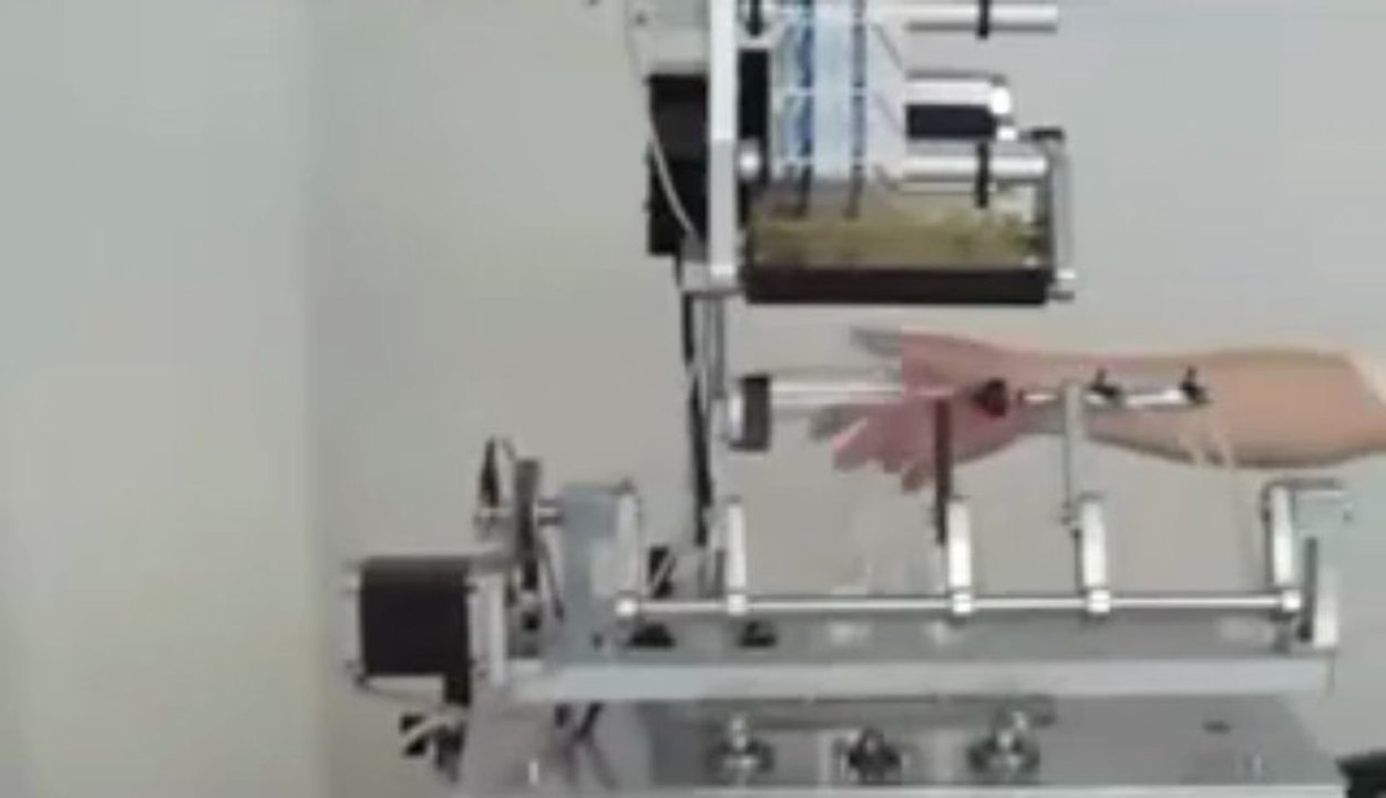 Labeling machine , Cambered Surface Labeling Machine