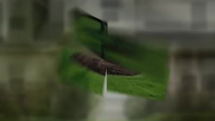 Lawn Mowing - Weed Removal - Best Boise Lawn