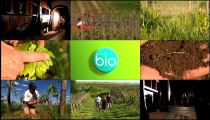 Minute Bio - La viticulture BIO