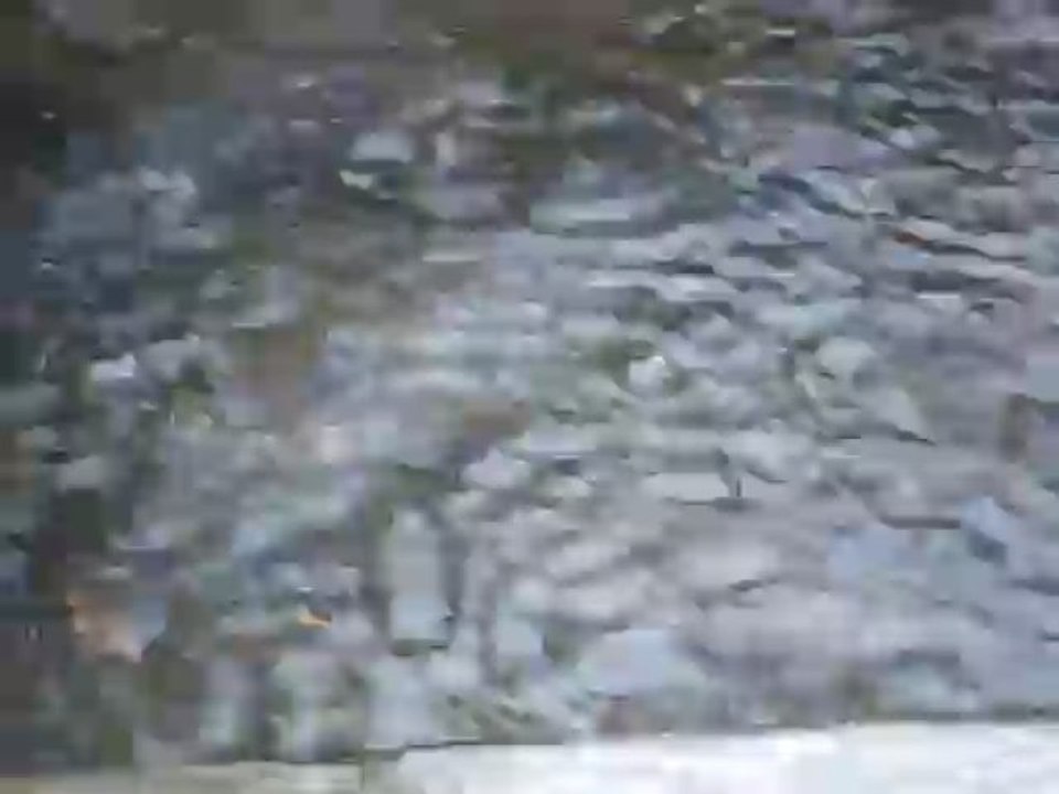Des bulles dans l'eau