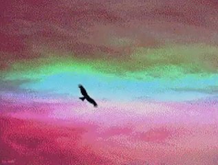 Alla bambina più bella del mondo