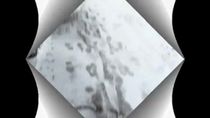 Neige à coutances, 11 mars 2013