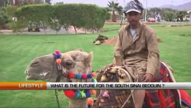 EGYPT: WHAT IS THE FUTURE FOR SOUTH SINAI BEDOUINS?