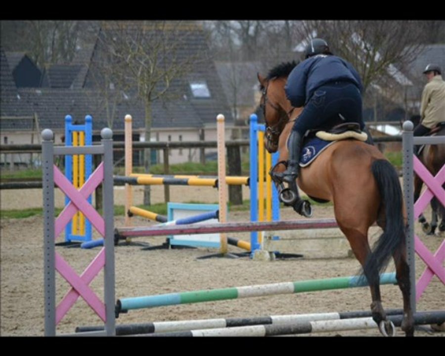 STAGE LAURENT GOFFINET 10 MARS 2013