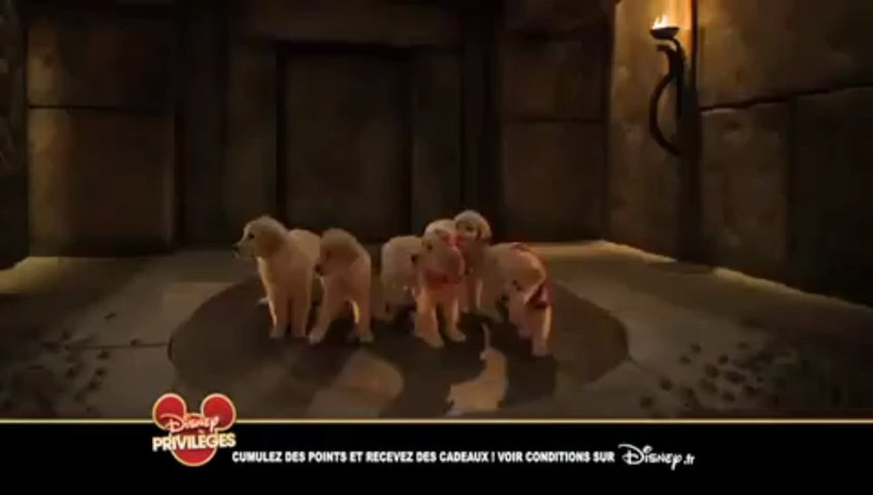 film Les Copains chasseurs de trésor bande annonce VF