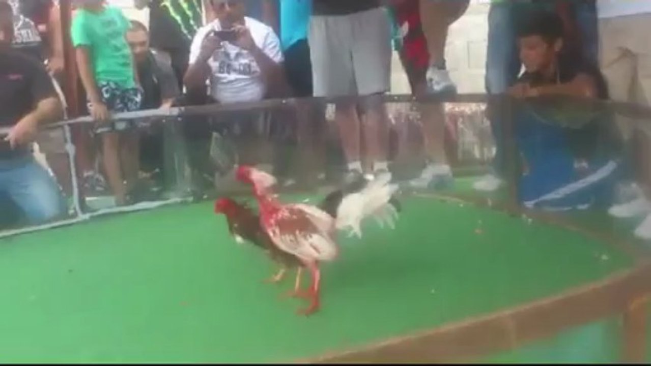 sami-gallo  NATSUKA 1 éme COMBAT gagner