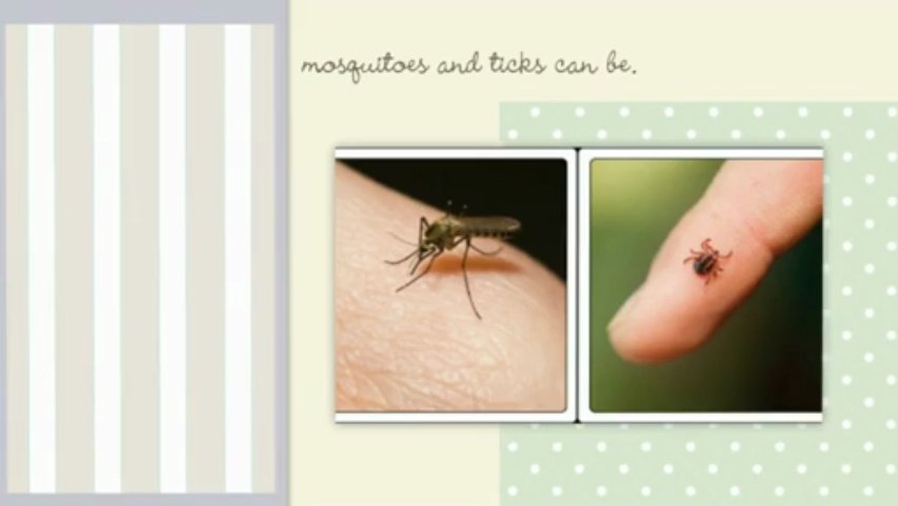 mosquito protection