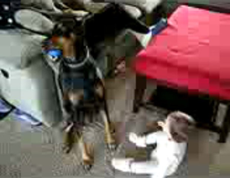 비비카지노▅▆▇BAC666.COM ▆▇▅ 소라카지노