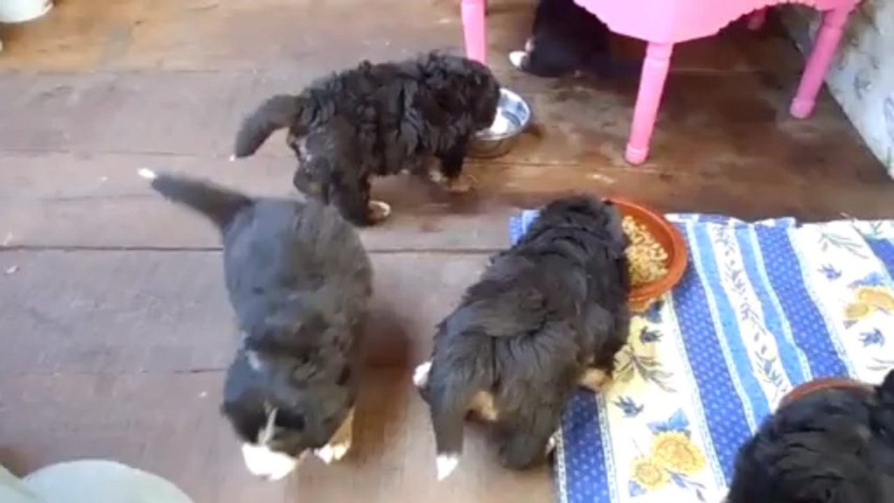 1er repas sur la terrasse (11 mars)