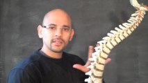 Atlanta Chiropractor - What is Lumbar Facet Syndrome - Personal Injury Doctor Atlanta - Car Accident Doctor Atlanta - Chiropractor Gainesville GA - Personal Injury Doctor Gainesville GA - Car Accident Doctor Gainesville GA