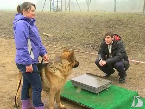 Новости от 11 марта 2013 года