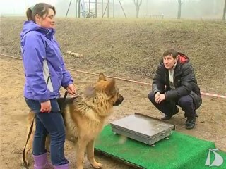 Новости от 11 марта 2013 года