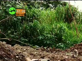 Esporte Espetacular - 1032013_02