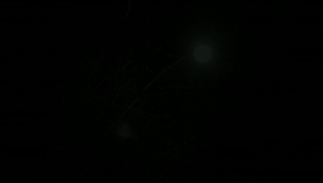 "THE BEARD", Short Film by Yaz Rabadi (Canada)
