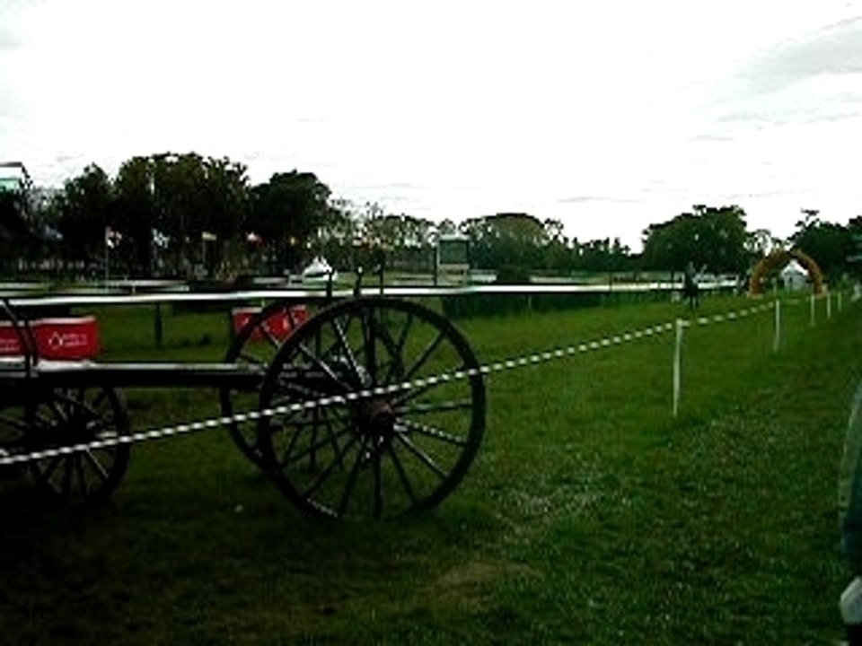 DSCN4844