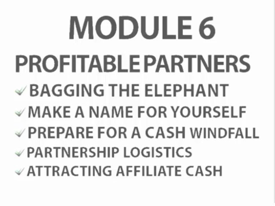 Discover the Real Secrets & Strategies You Need To Build A Solid 6 Figure + Internet Business