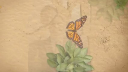 San Jose Financial Services