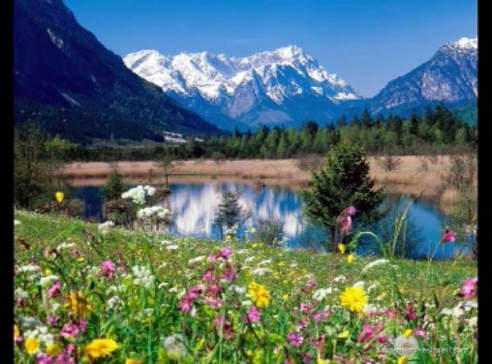 RisaLe-i Nur'dan Müthiş Bir Ders