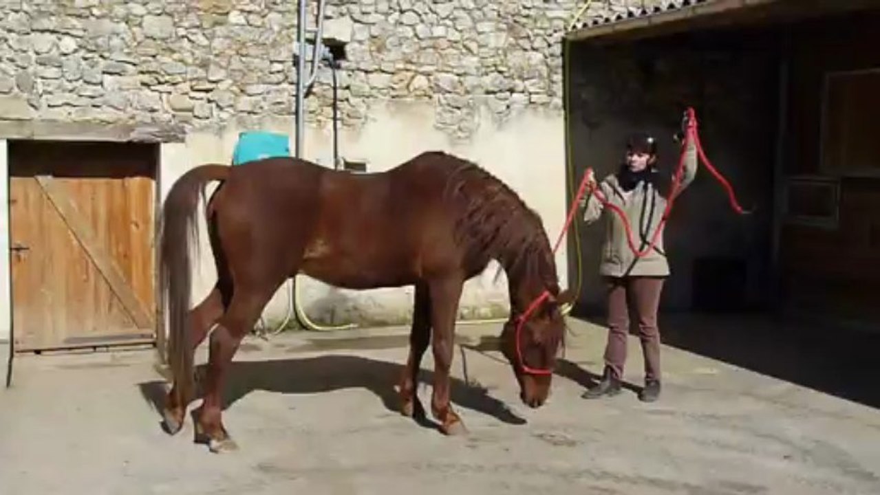 RUSTEM