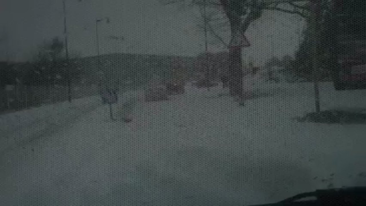 Arras et l'Arrageois paralysés par la neige