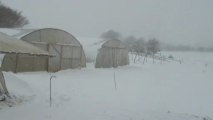 Neige au Jardin mod kozh à Pont-Melvez, déneigeage des serres.