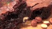 Recette de Brownie au Nutella - 750 Grammes