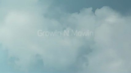 Lawn Mower Repairs in Belper from Growin N Mowin