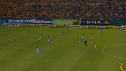 Tigres wygrali z San Jose