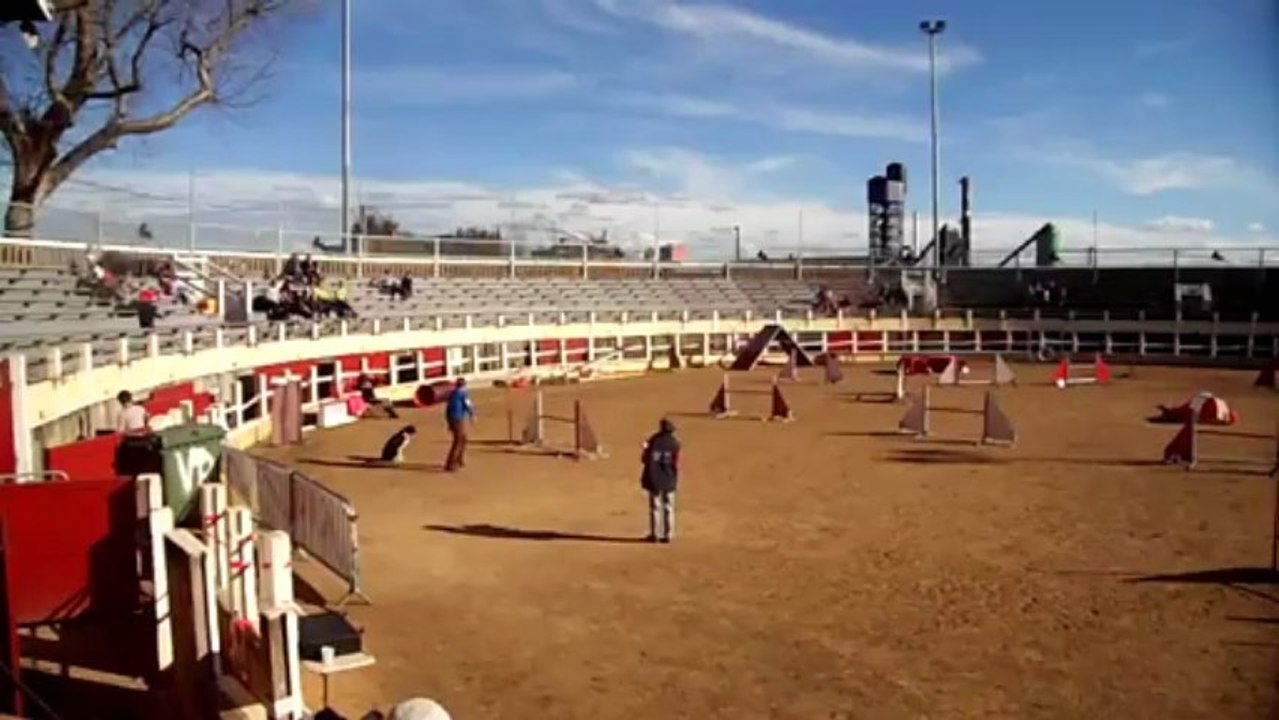 tosca parentis 10 03 3