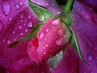 Mustafa ÖZARSLAN--Zehmeri ayazında kurumuş çöle döndüm