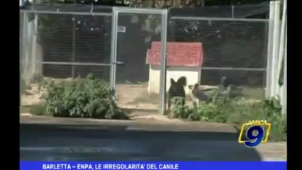 Barletta | ENPA, le irregolarità del canile