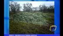 Corato | Discarica in un terreno agricolo