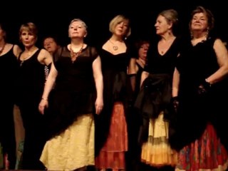 C3V Maison citoyenne. - Les divagabondes à Migennes - mars 2013