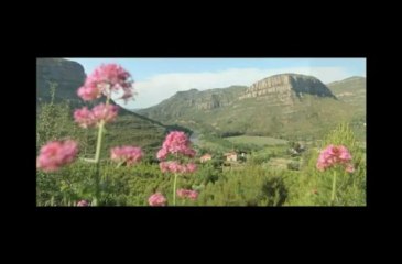 Un choeur d'enfants - L'Escolania de Montserrat