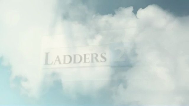 Industrial Platform Ladders