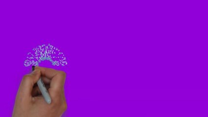 Denver Window Coverings